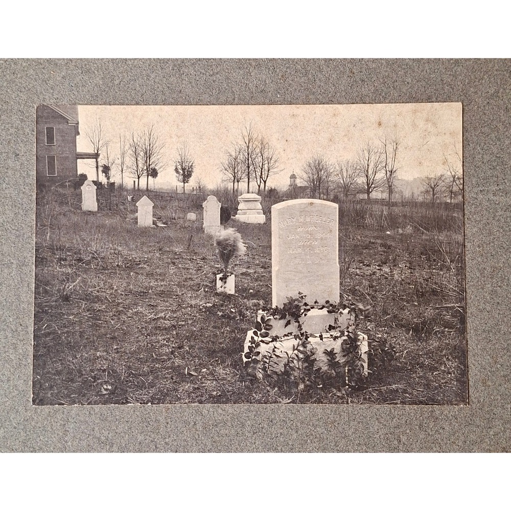 Antique Mary Wheeler Grave Photo Johnson City TN Methodist Genealogy Holston